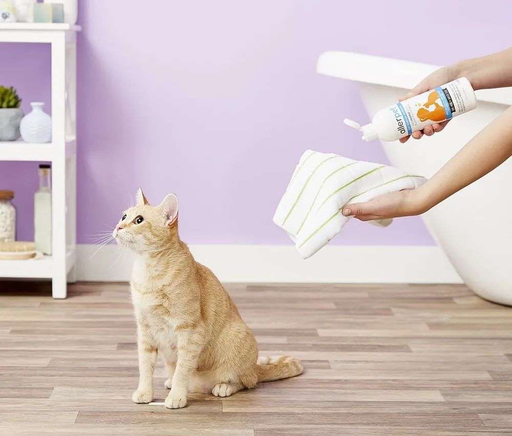 國內外巨頭相繼入局，寵物洗護品成為新的掘金賽道？